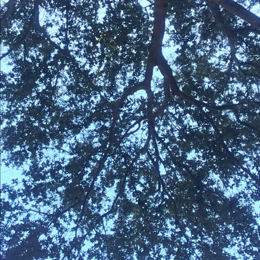 Meet your Posher, Joscelyn